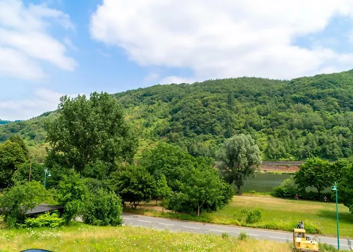 Moselglueck Sankt Aldegund